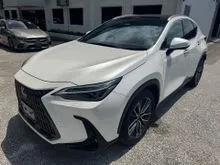 2023 Lexus NX 250 2.5 Luxury SUV - Full Spec Of Version L - Panoramic Rooftop Model - Mileage 23K-KM Only