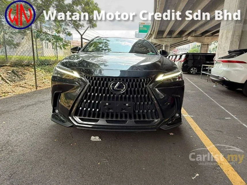 2022 Lexus NX 250 Luxury SUV