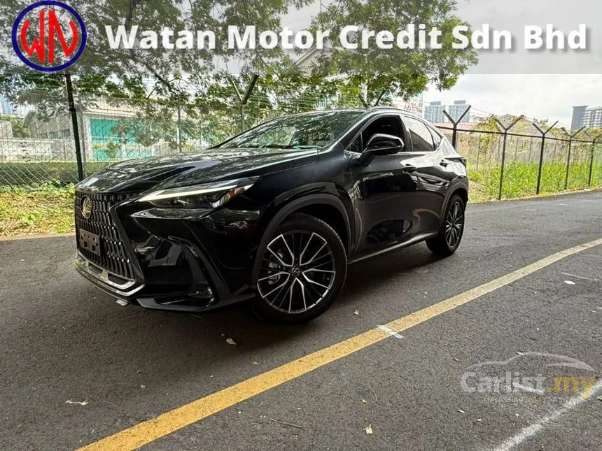2022 Lexus NX 250 Luxury SUV