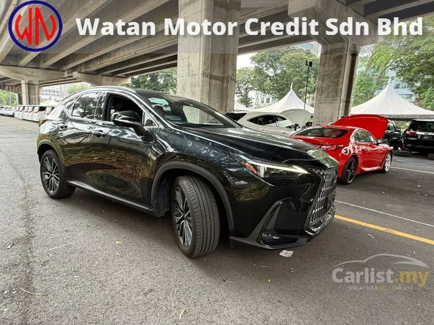 2022 Lexus NX 250 Luxury SUV