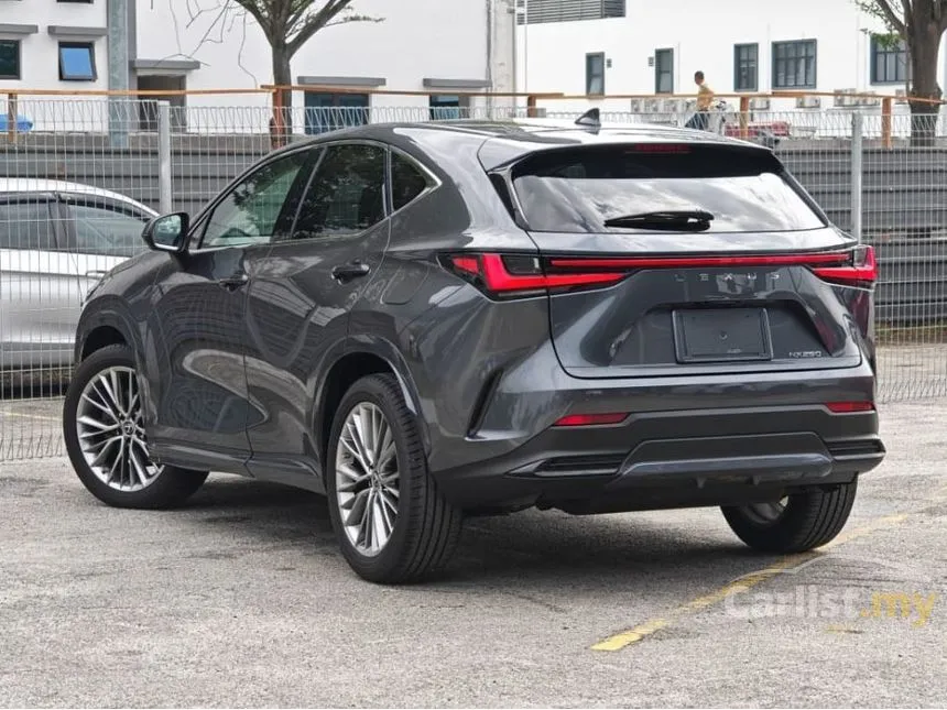 2023 Lexus NX 250 Luxury SUV