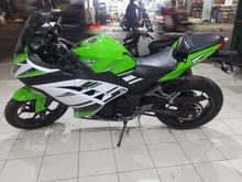 2015 Kawasaki Ninja 250 0.2 Manual Others