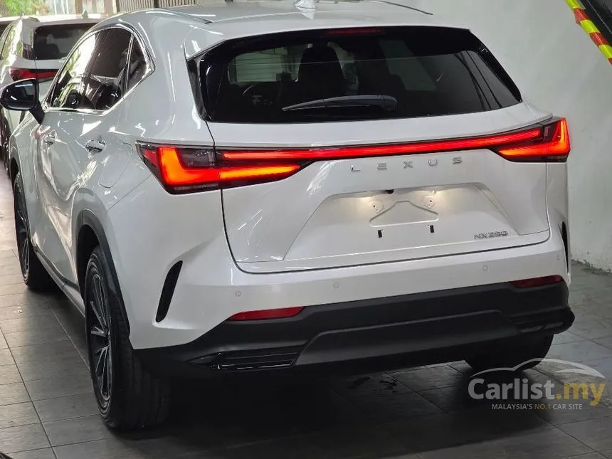 2023 Lexus NX 250 SUV