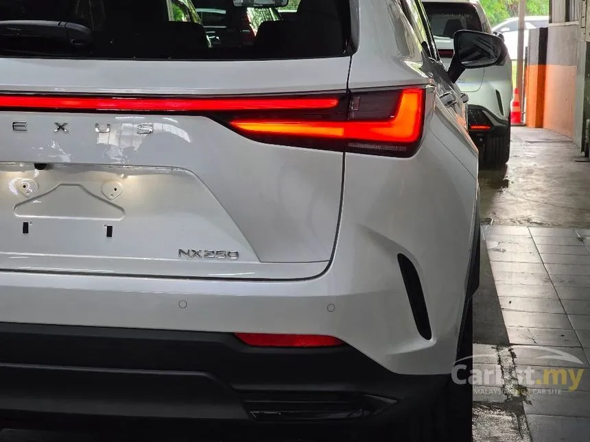 2023 Lexus NX 250 SUV
