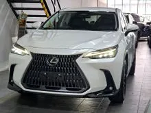2023 Lexus NX 250 2.5 BASE SPEC 360