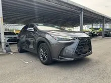 2023 Lexus NX 250 2.5 SUV