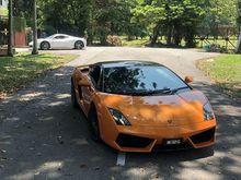 2011 Lamborghini Gallardo LP560-4 Bicolore Special edition