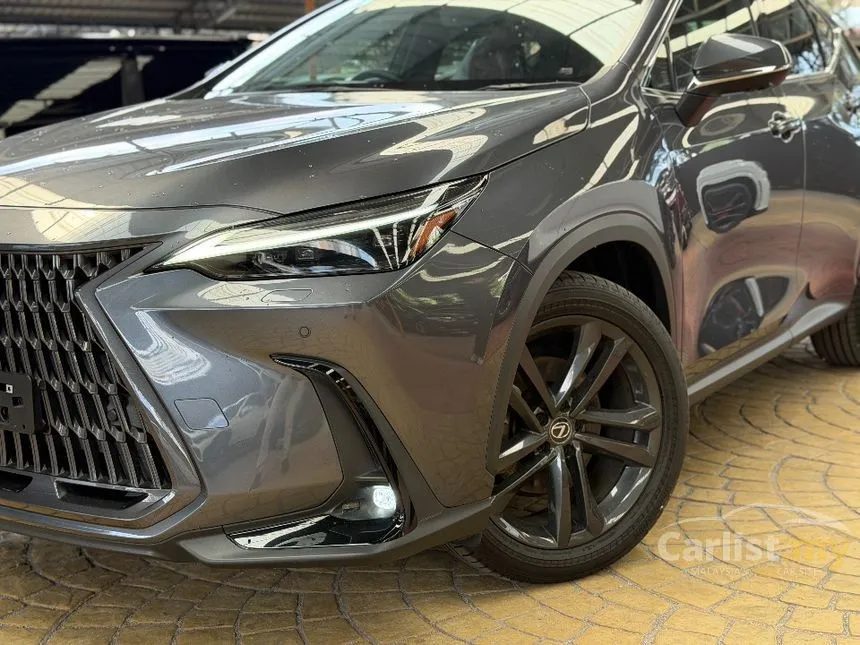 2022 Lexus NX 250 Luxury SUV