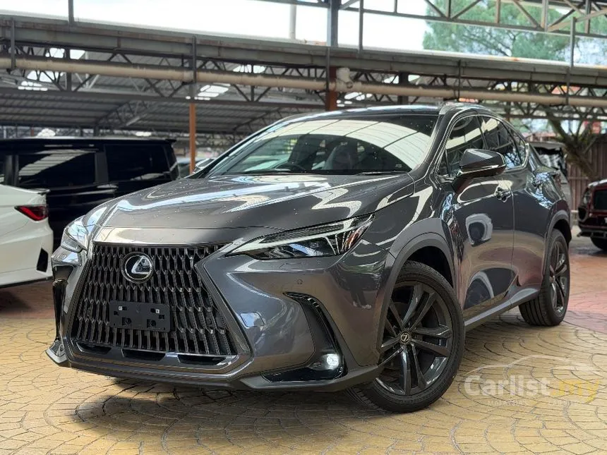 2022 Lexus NX 250 Luxury SUV