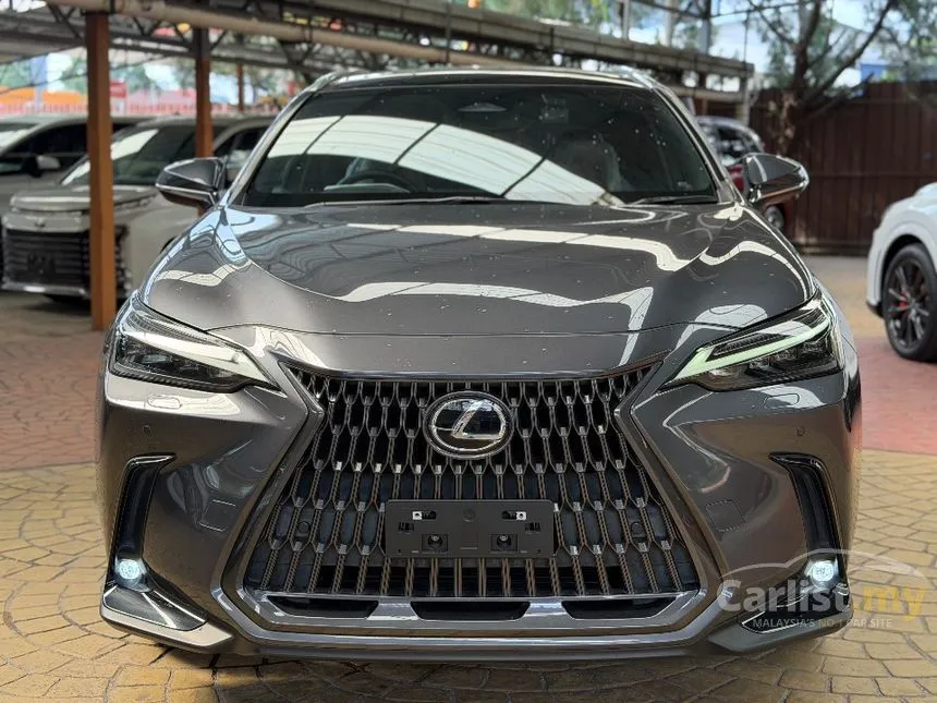 2022 Lexus NX 250 Luxury SUV