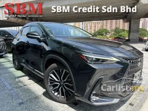2023 Lexus NX 250 2.5 SUV