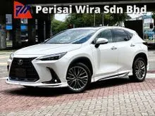 2022 Lexus NX 250 2.5 Luxury SUV Modellista Package
