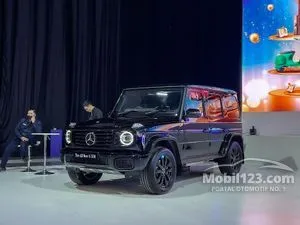 2025 Mercedes-Benz G500 3.0 Professional Line SUV