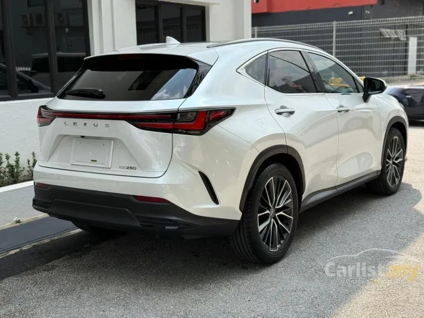 2023 Lexus NX250 SUV