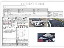 2021 Lexus RX 300 2.0 F Sport SUV 6A GRADE 3BA MOONROOF FACELIFT