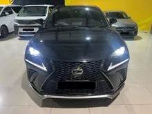 2018 Lexus NX 300 2.0 F Sport SUV