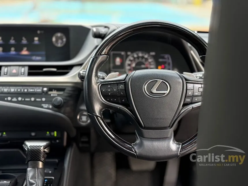 2019 Lexus ES 250 Luxury Sedan