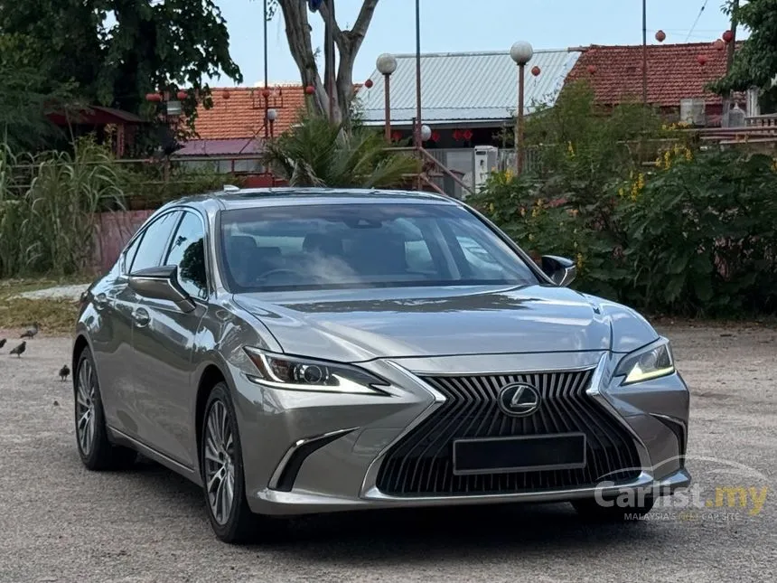 2019 Lexus ES 250 Luxury Sedan