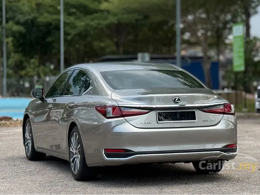 2019 Lexus ES 250 Luxury Sedan