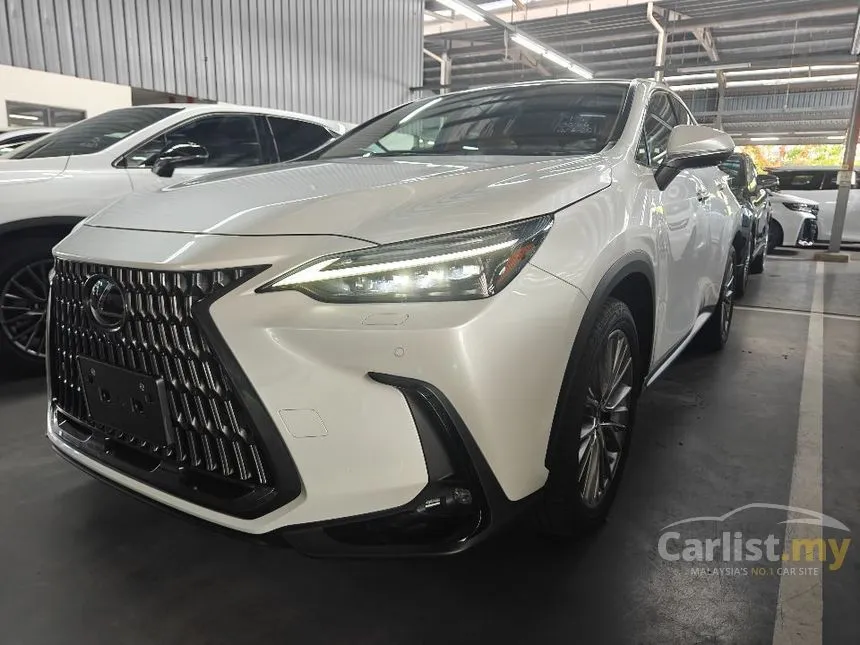 2022 Lexus NX 250 Luxury SUV