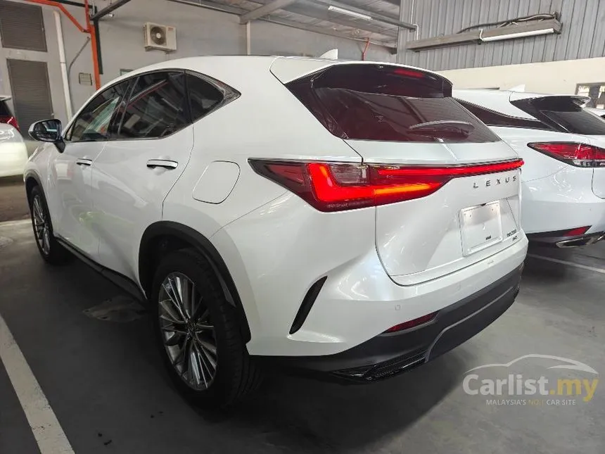 2022 Lexus NX 250 Luxury SUV
