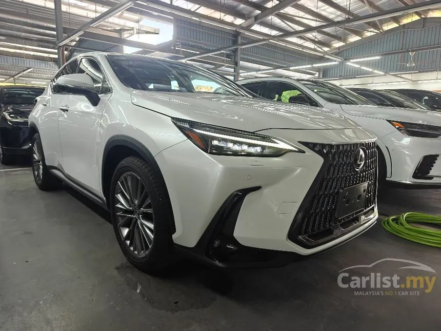 2022 Lexus NX 250 Luxury SUV