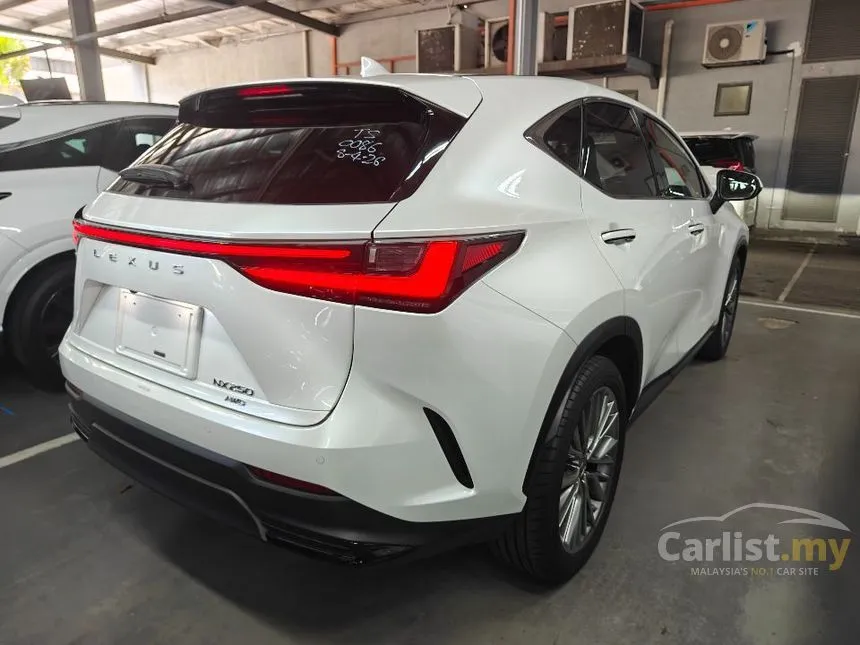 2022 Lexus NX 250 Luxury SUV