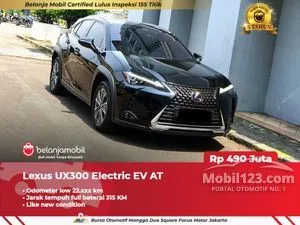 2022 Lexus UX 300e SUV