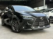 2023 Lexus NX 250 2.5 Luxury SUV