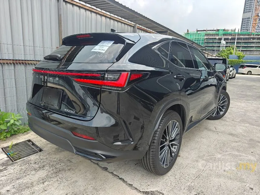 2023 Lexus NX 250 Luxury SUV