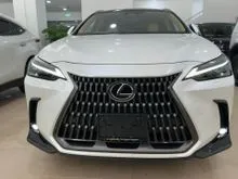 2022 Lexus NX 250 2.5 Luxury SUV