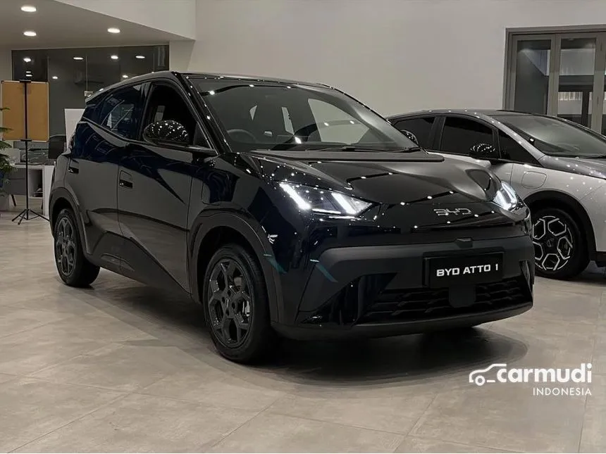 2025 BYD Atto 1 Standard Range Dynamic Hatchback
