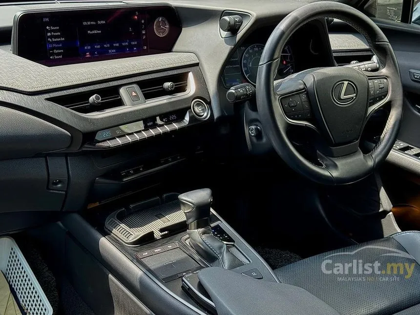 2020 Lexus UX 200 Luxury SUV
