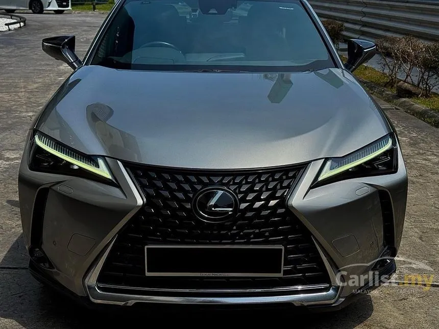 2020 Lexus UX 200 Luxury SUV