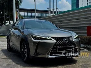 2020 Lexus UX 200 2.0 Luxury SUV