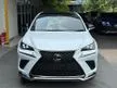 Recon 5A 2019 Lexus NX300 2.0 F Sport SUV / PANORAMIC ROOF 360 CAM