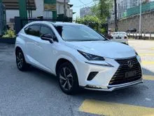 2021 Lexus NX 300 2.0 Spice & Chic Unreg
