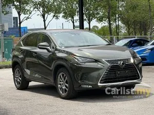 2021 Lexus NX 300 2.0 Premium SUV
