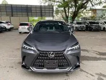 2023 Lexus NX 250 2.5 VERSION L HIGH SPEC LOW MILEAGE MUST VIEW TO BELIEVE