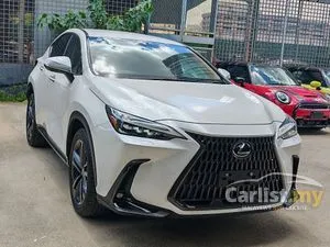 2022 Lexus NX 250 2.5 Luxury SUV
