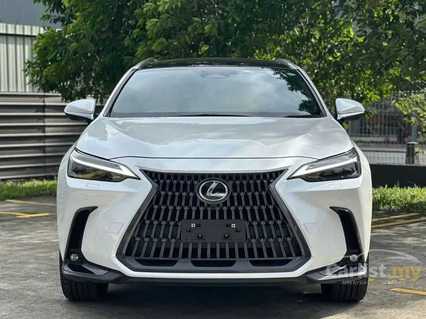 2023 Lexus NX 250 Luxury SUV