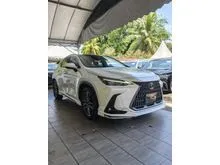 2023 Lexus NX 250 Luxury ( MODELLISTA BODYKIT, PANA.ROOF )
