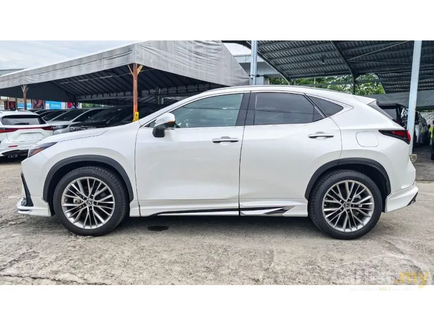 2023 Lexus NX 250 SUV
