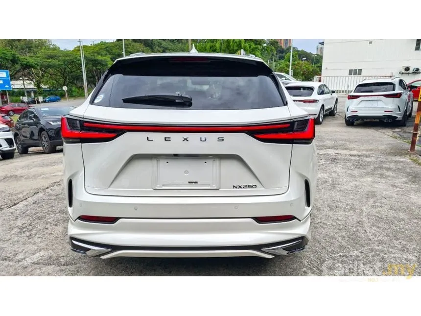 2023 Lexus NX 250 SUV