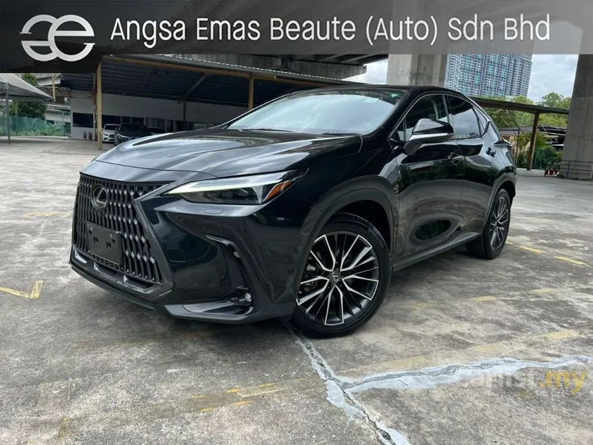 2022 Lexus NX250 Luxury SUV