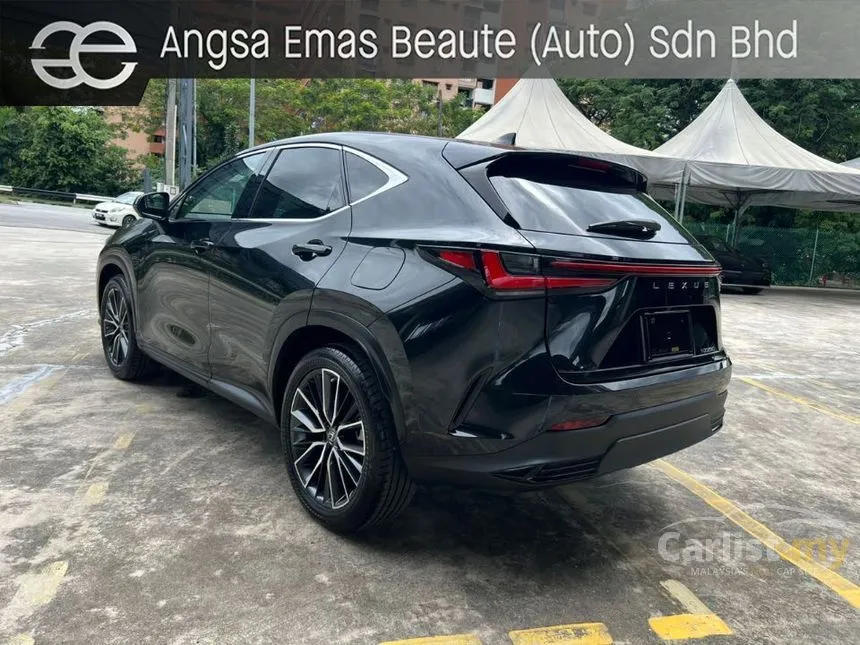 2022 Lexus NX250 Luxury SUV