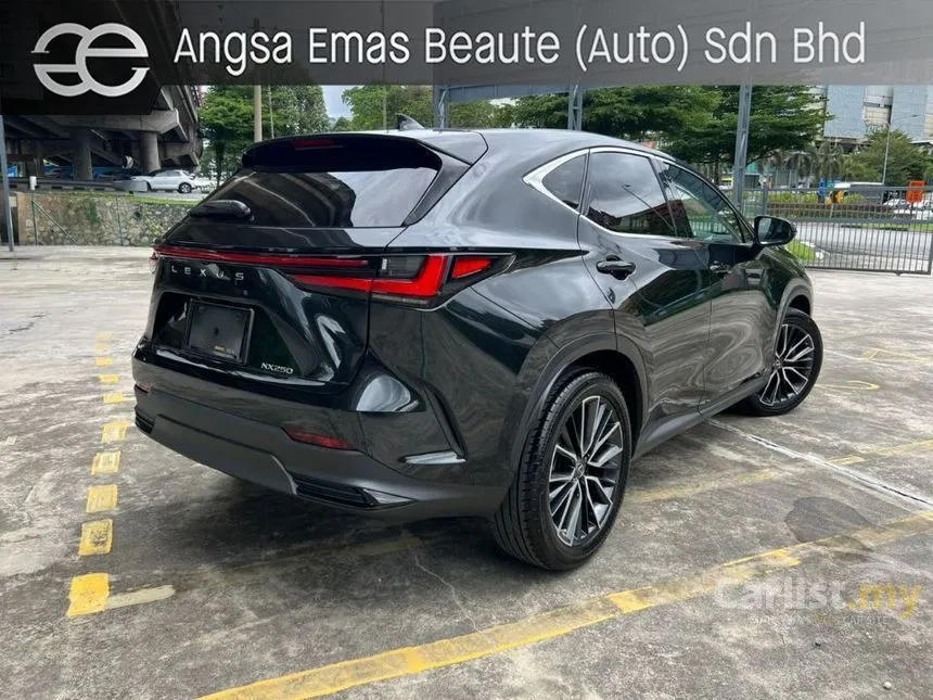 2022 Lexus NX250 Luxury SUV