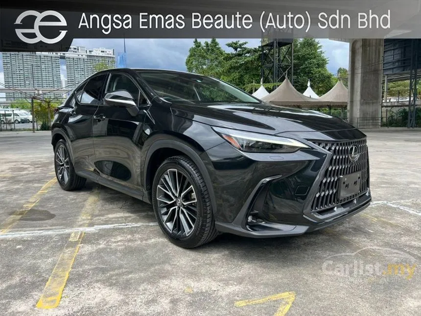 2022 Lexus NX250 Luxury SUV