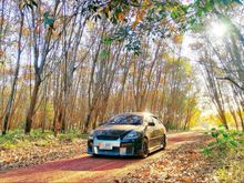 2011 Toyota Vios 1.5 (ปี 07-13) E Sedan MT