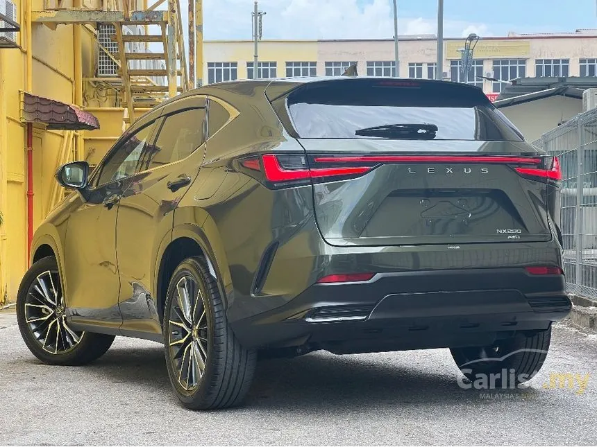 2022 Lexus NX 250 Luxury SUV